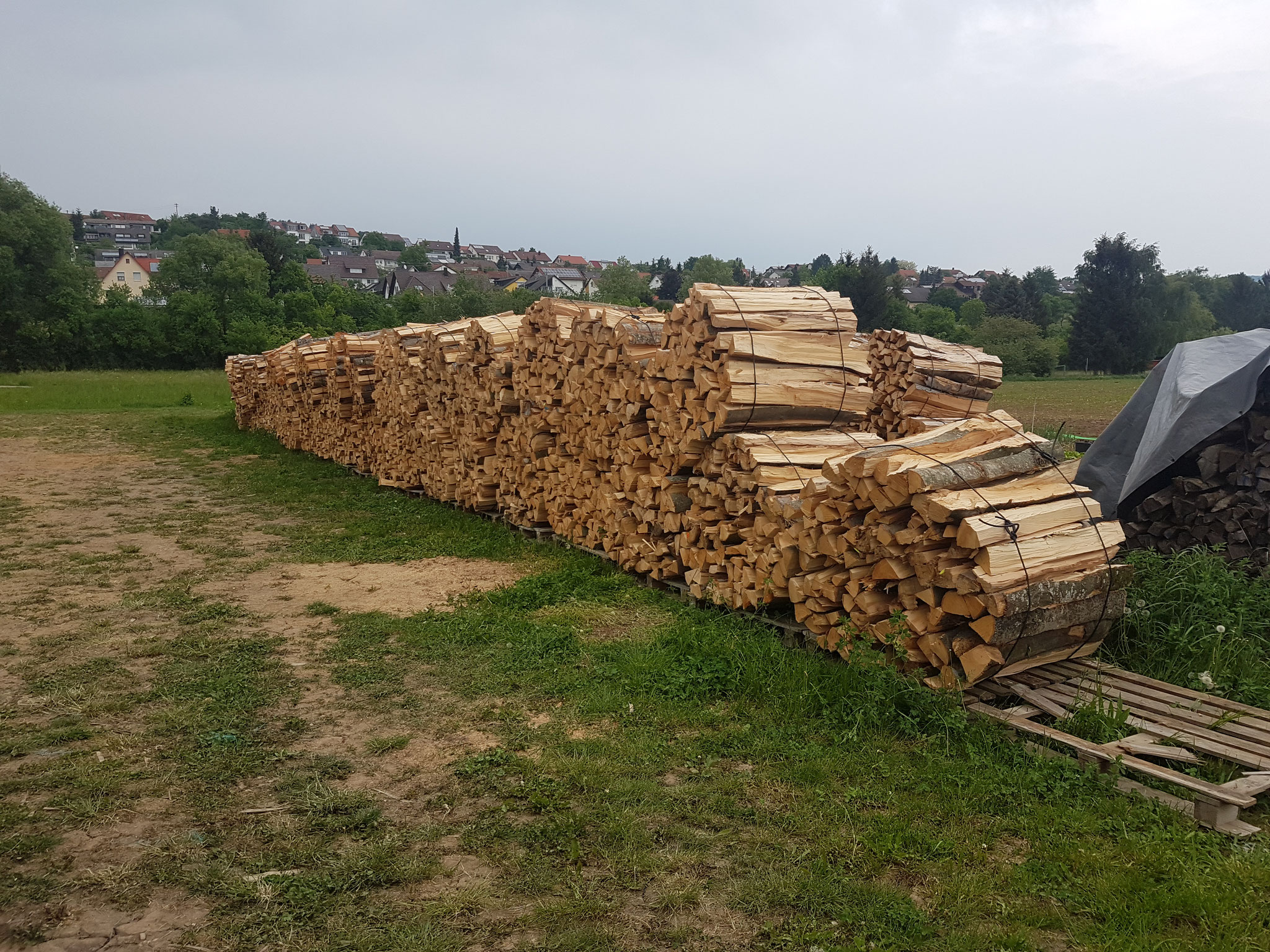 Bündel aus Meterholz